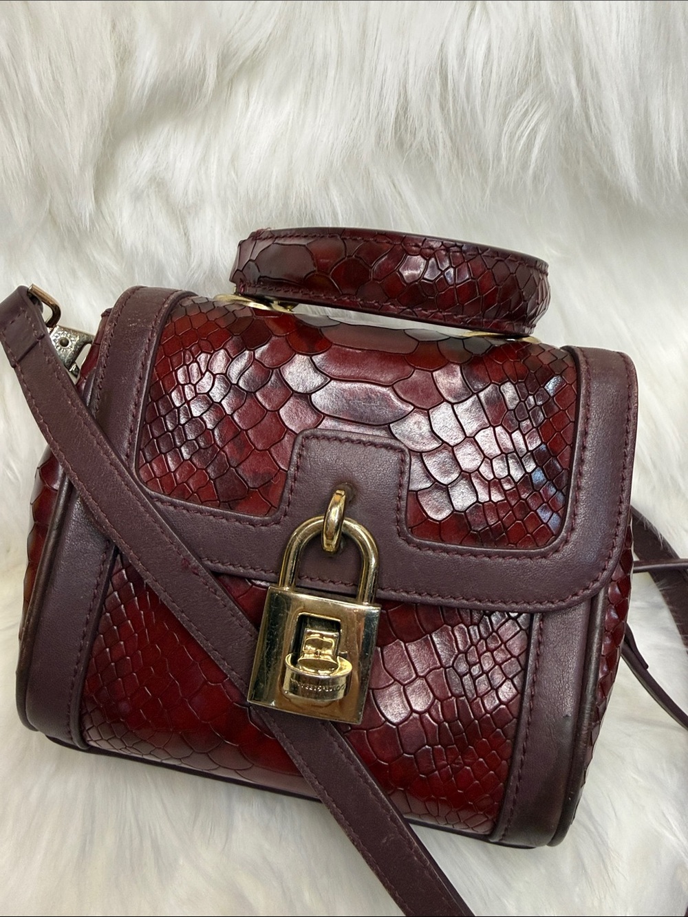 Dolce & Gabbana Python Padlock